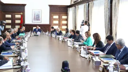 مجلس الحكومة يصادق على مشروع مرسوم يتعلق بالوقاية من خطر الحيوانات ومكافحته في المطارات والمناطق المجاورة لها